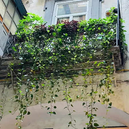 Appartement Toledo's House 289 Naples