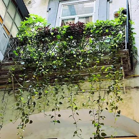 Art-filled Loft 289 Via Toledo Heart Of And Plebiscito Daire *